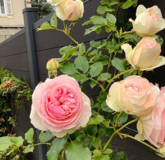 پانسیون La Renardière