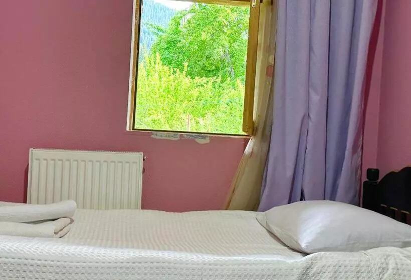 پانسیون Mziuri Guest House