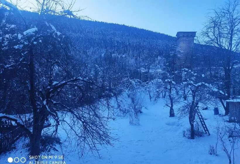 پانسیون Mziuri Guest House
