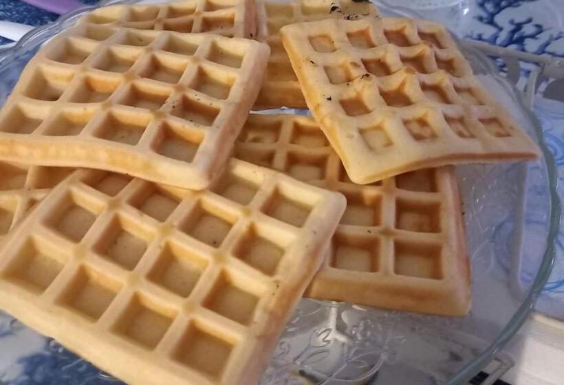 膳宿费 Villa Alba