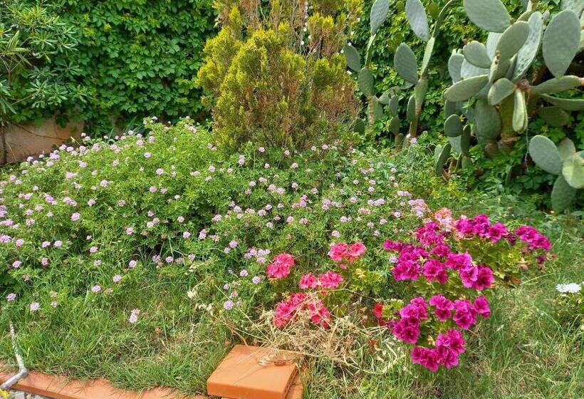 膳宿费 Villa Alba