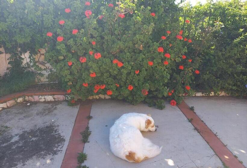 膳宿费 Villa Alba