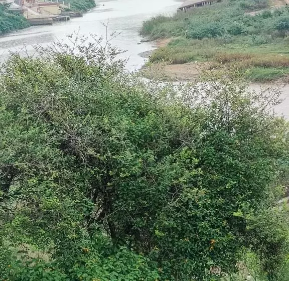Hotelli Goroomgo Parvati Residency Madhya Pradesh