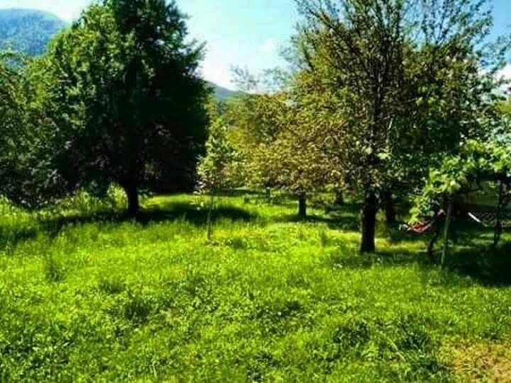 پانسیون Guesthouse In Utsera