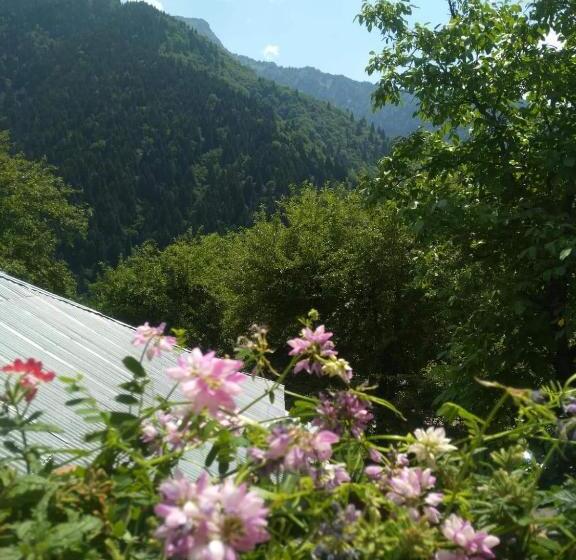 پانسیون Guesthouse In Utsera