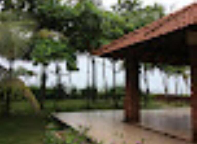 Porcupine Castle Resort Coorg, Pollibetta