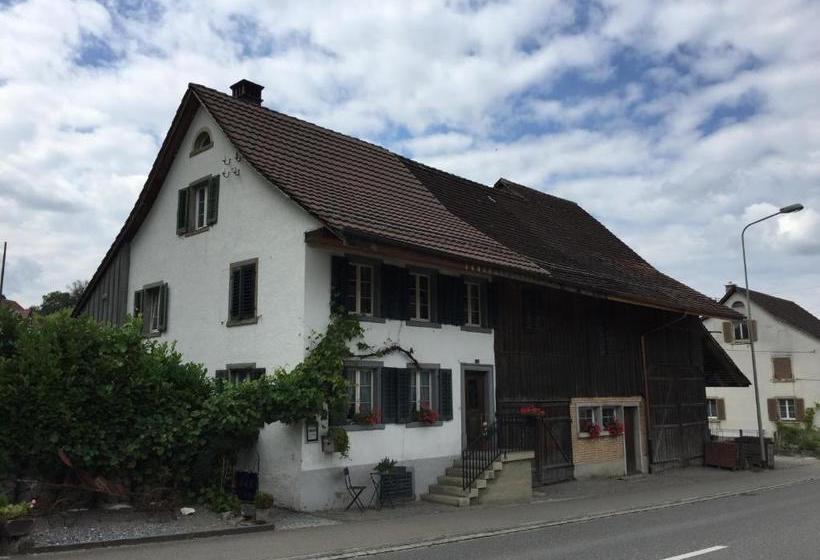 Airport Zürich Elwiras B & B