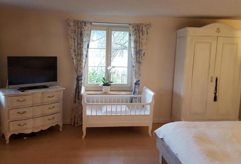 Airport Zürich Elwiras B & B