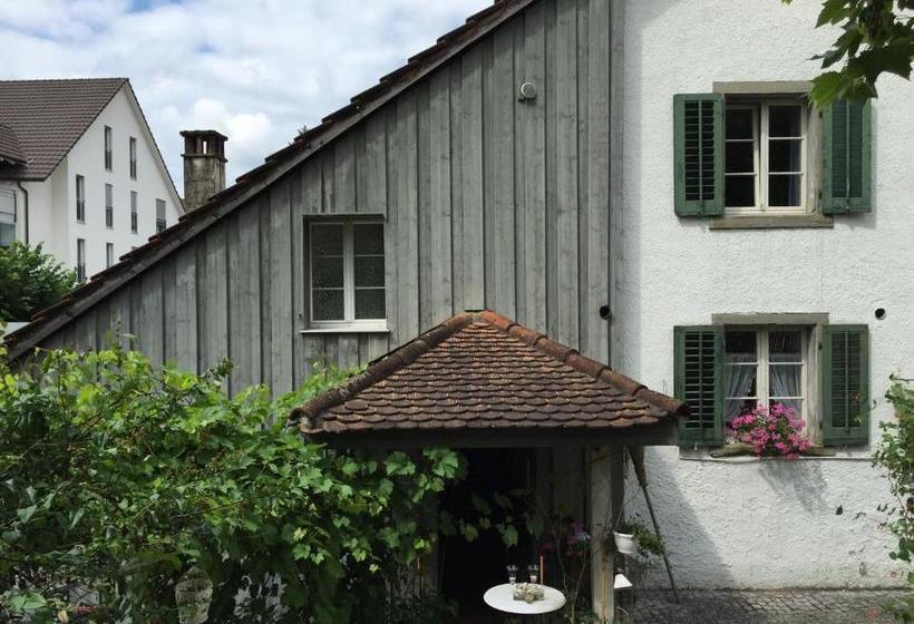 Airport Zürich Elwiras B & B