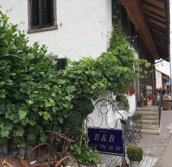 Airport Zürich Elwiras B & B