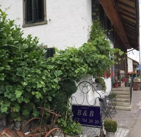 Airport Zürich Elwiras B & B