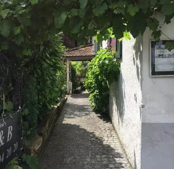 Airport Zürich Elwiras B & B