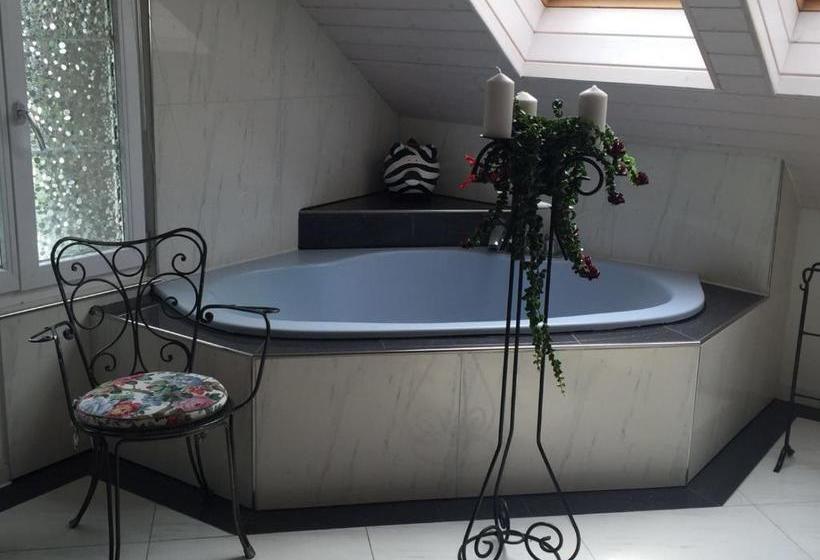 Airport Zürich Elwiras B & B