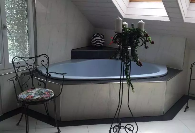Airport Zürich Elwiras B & B