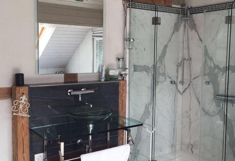 Airport Zürich Elwiras B & B