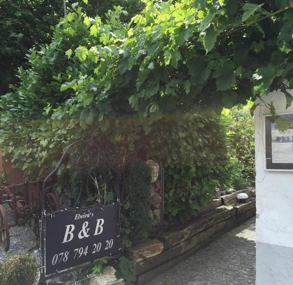 Airport Zürich Elwiras B & B