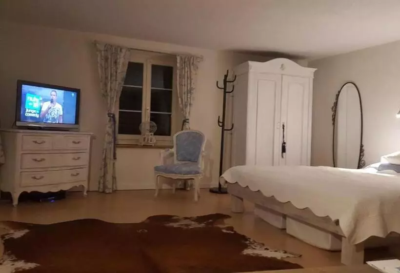 Airport Zürich Elwiras B & B