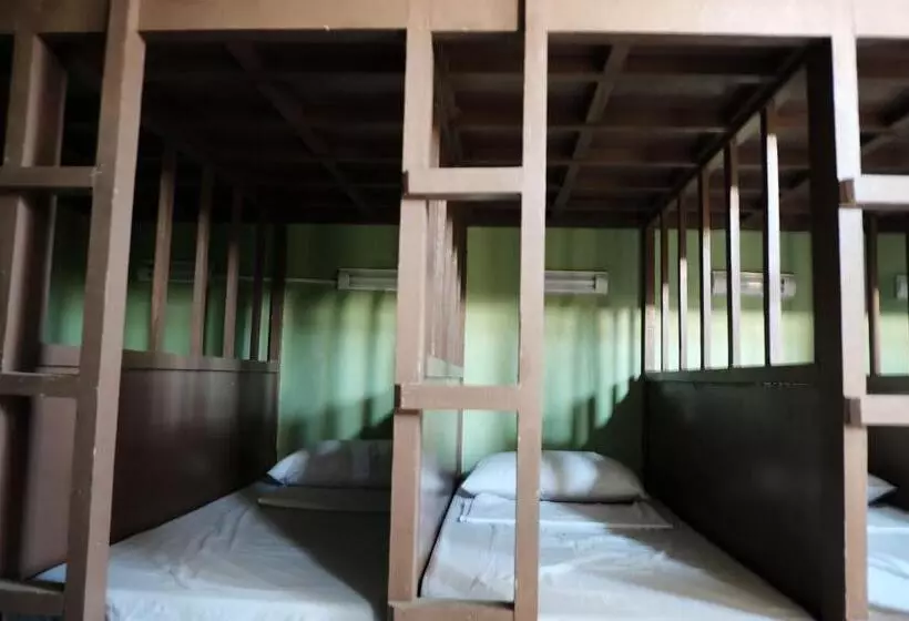 ユースホステル Malapascua Budget Inn Mbi Dive Center