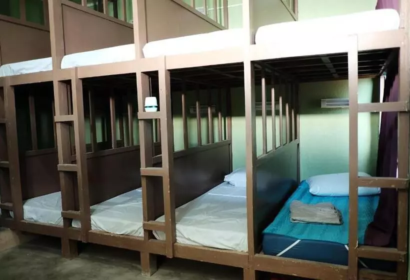 ユースホステル Malapascua Budget Inn Mbi Dive Center