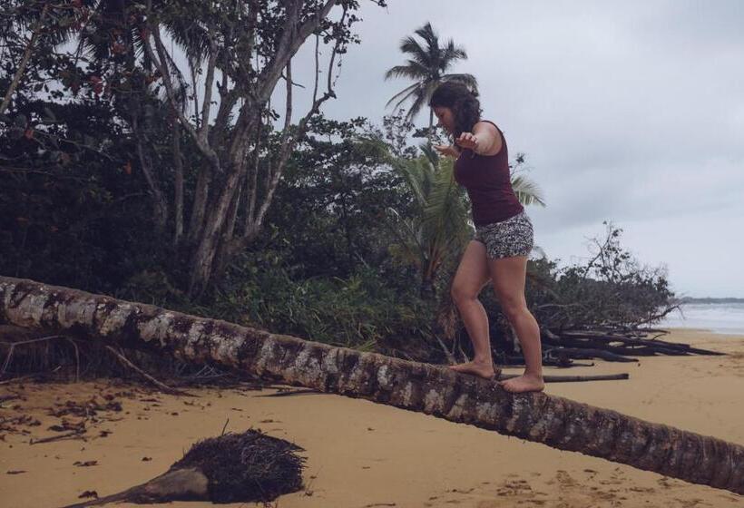 فندق صغير Spanish By The Sea Bocas