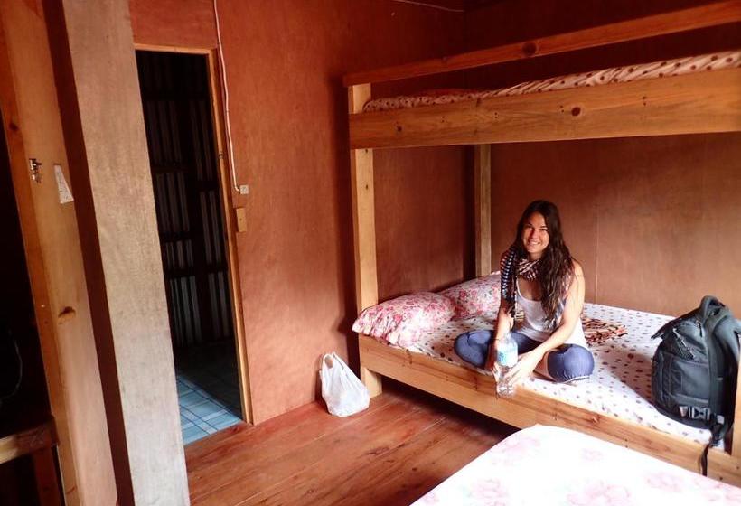 Bed and Breakfast Batad View Inn And Restaurant