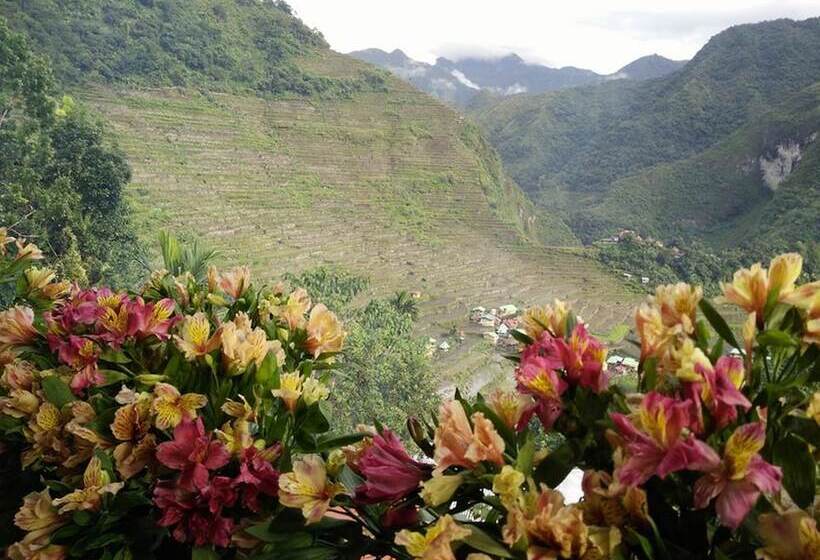 Bed and Breakfast Batad View Inn And Restaurant