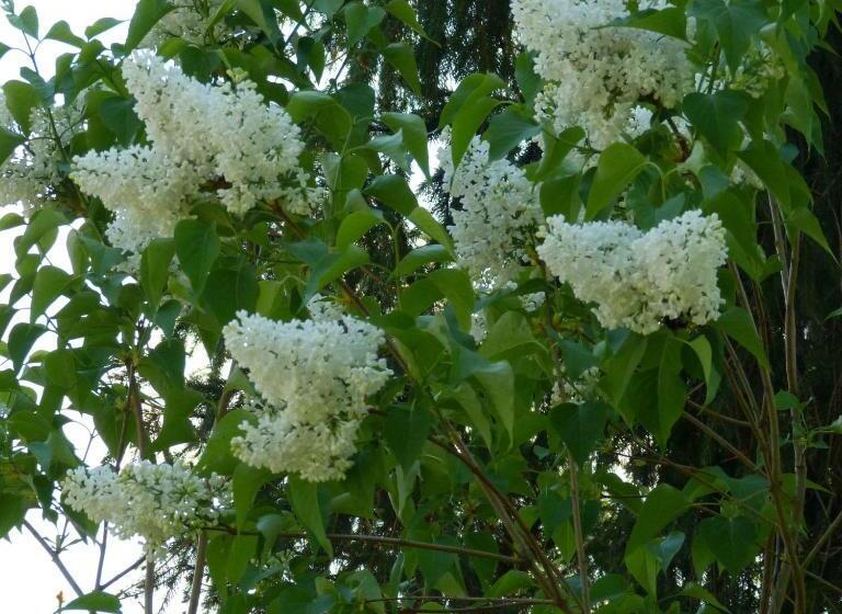 مبيت وإفطار Bnb Goldberg