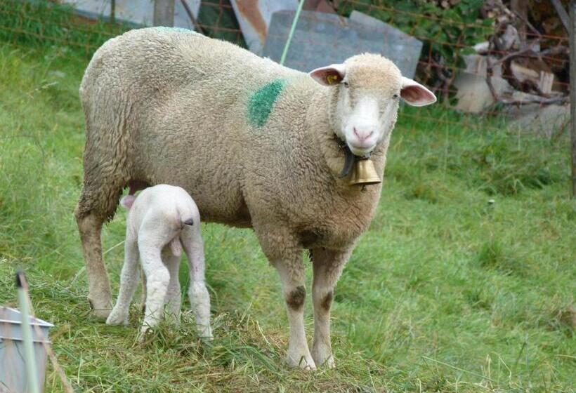 مبيت وإفطار Bnb Goldberg