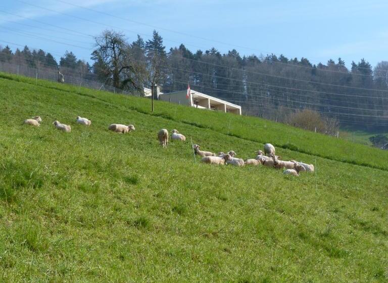 مبيت وإفطار Bnb Goldberg