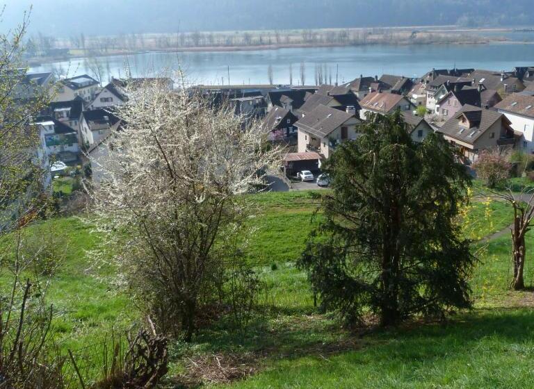 مبيت وإفطار Bnb Goldberg