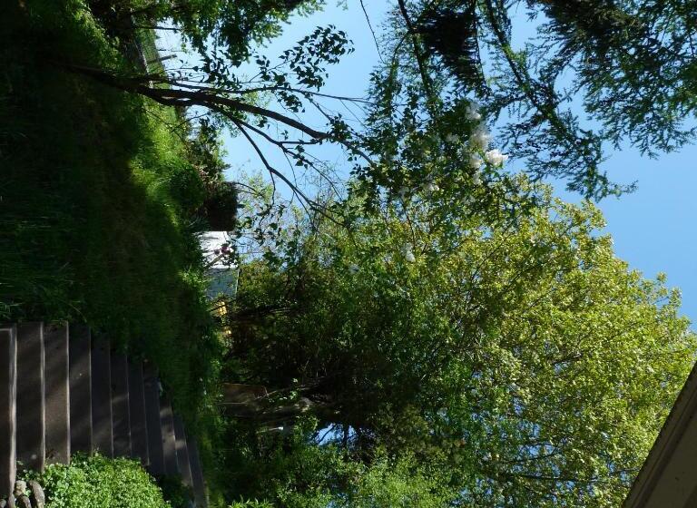 مبيت وإفطار Bnb Goldberg