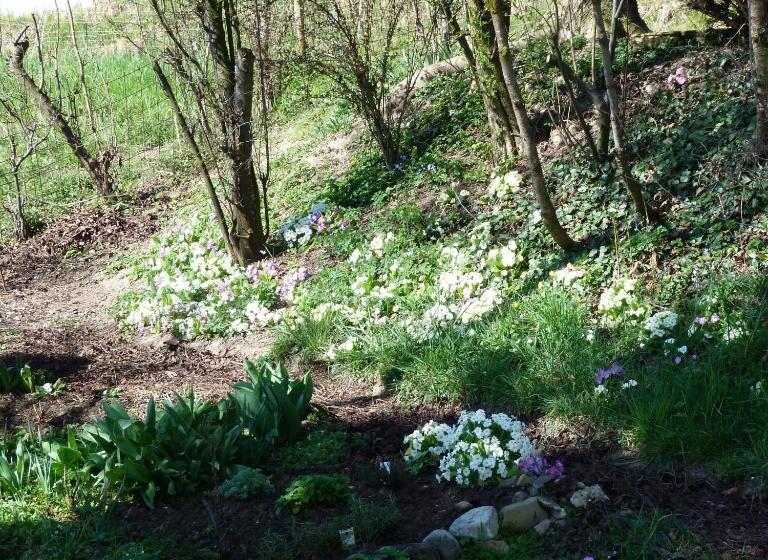 مبيت وإفطار Bnb Goldberg