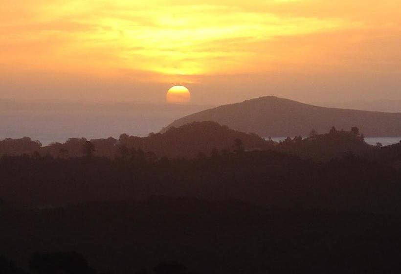 ベッドアンドブレックファースト Buffalo Lodge