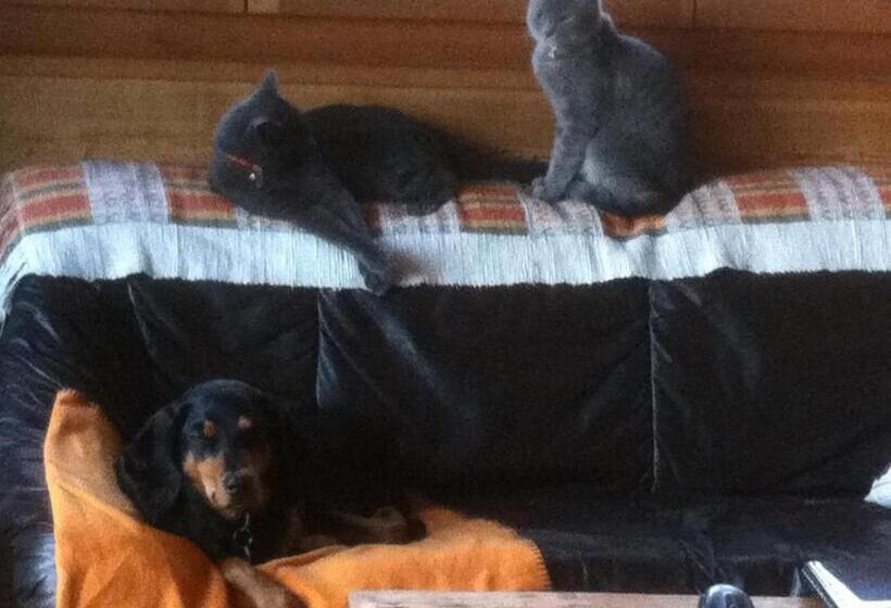 민박 Les Gîtes Du Cairn