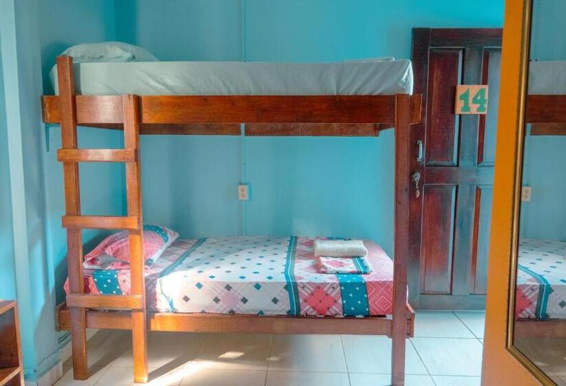 مبيت وإفطار Surfari Bocas