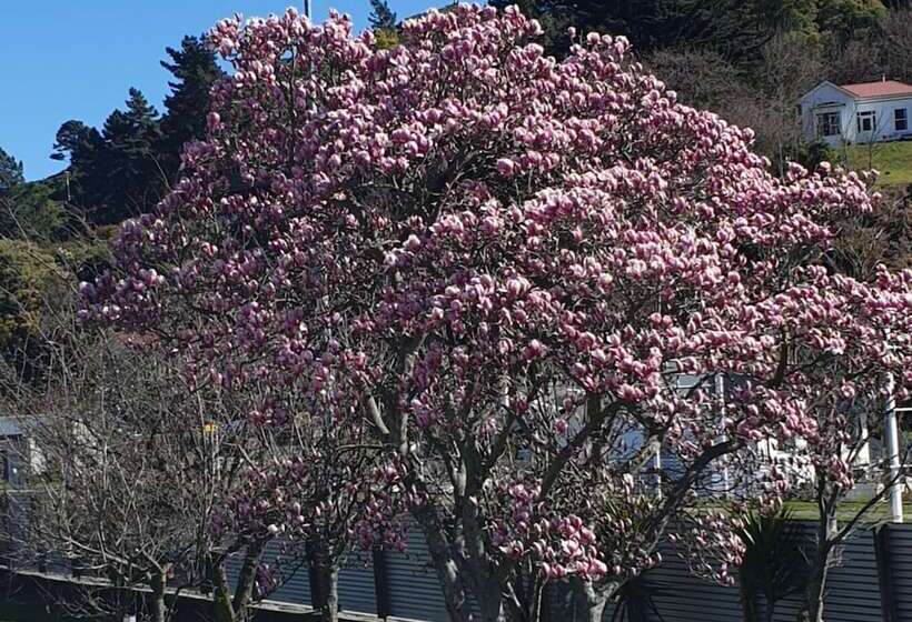 צימר Top Of The Town