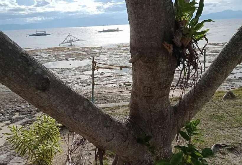 Bonita Oasis Beach Resort