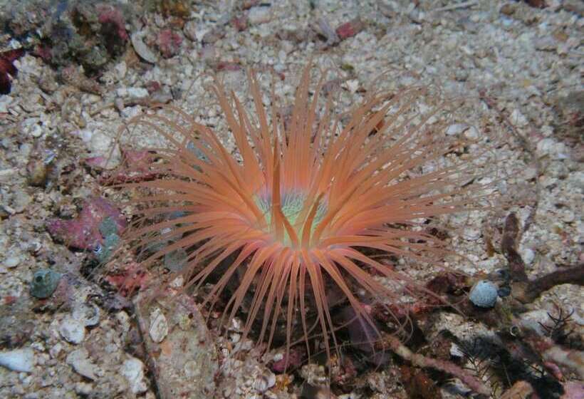 Bonita Oasis Beach Resort