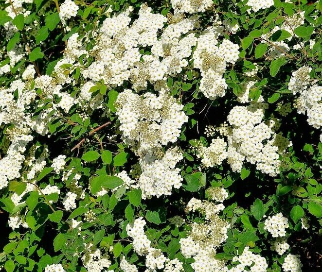 Alvaret Hotel & Hostel