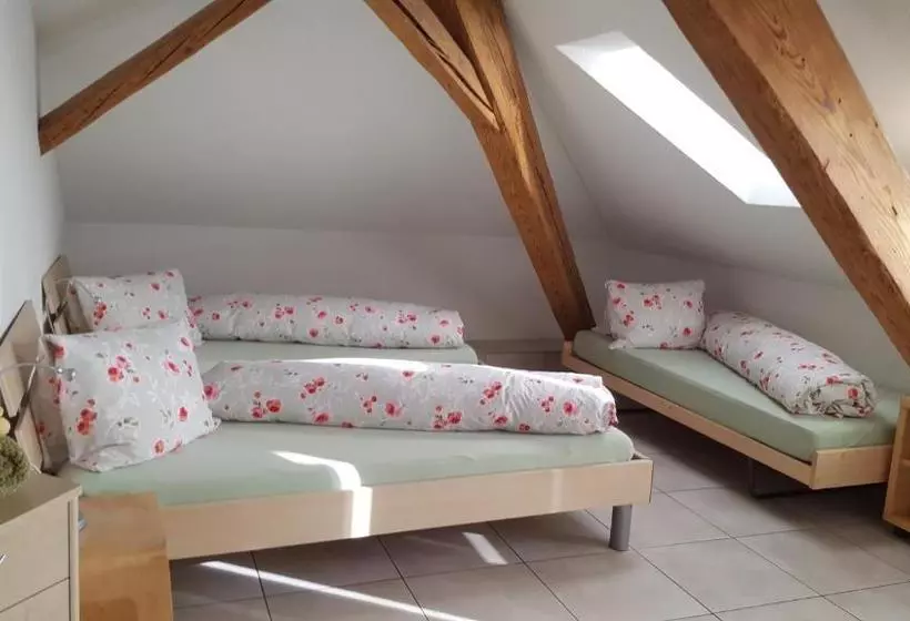 Hotelli Löwen