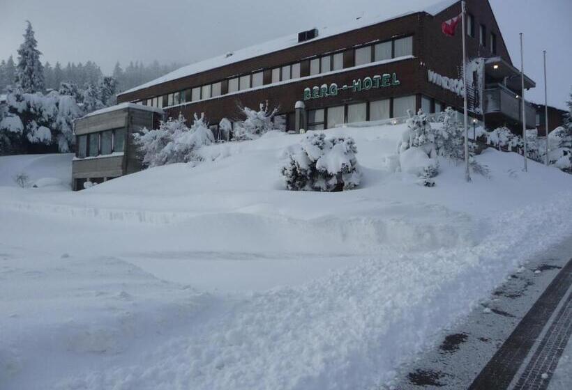 ホテル Panorama Windegg