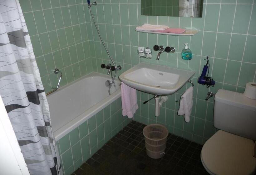 ホテル Panorama Windegg