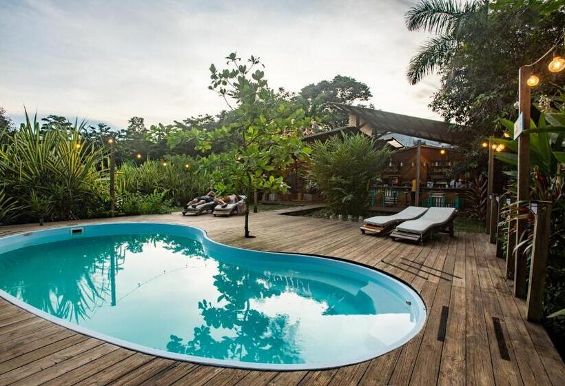 فندق Socialtel Red Frog