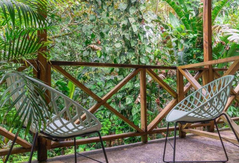 فندق Socialtel Red Frog