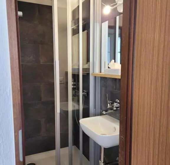 هتل Zunfthaus Zur Rebleuten