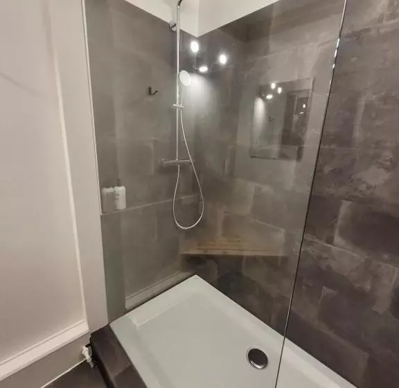 هتل Zunfthaus Zur Rebleuten