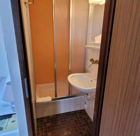 هتل Zunfthaus Zur Rebleuten