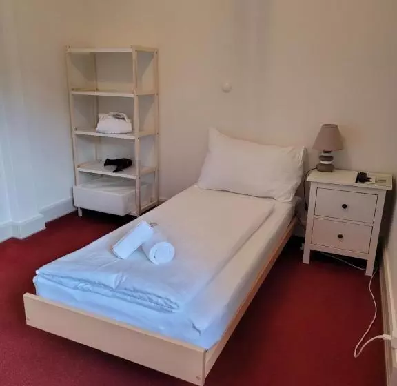 هتل Zunfthaus Zur Rebleuten