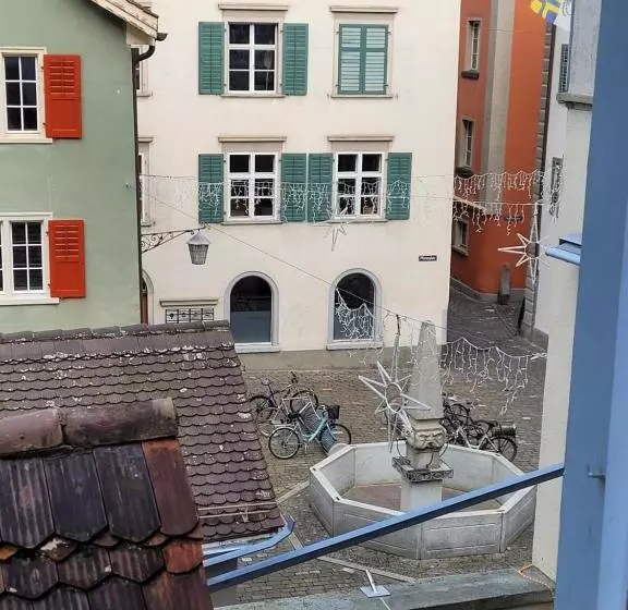 هتل Zunfthaus Zur Rebleuten