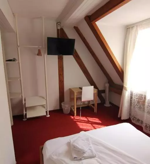 هتل Zunfthaus Zur Rebleuten